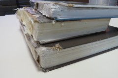 Собака погрызла книги ремонт