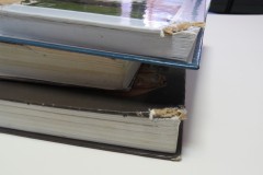 Собака погрызла книги ремонт