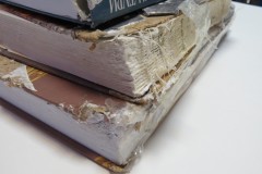 Собака погрызла книги ремонт