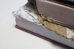 Собака погрызла книги ремонт