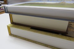 Собака погрызла книги ремонт