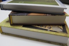 Собака погрызла книги ремонт